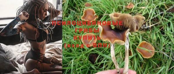 a pvp Тутаев