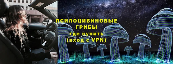 гидра Армянск