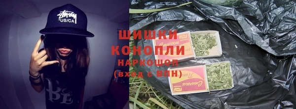 спиды Богородицк
