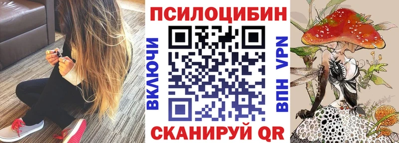 ОМГ ОМГ ССЫЛКА  Волгодонск  Псилоцибиновые грибы Cubensis  купить  сайты 