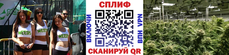 Конопля индика  гидра как войти  Волгодонск 